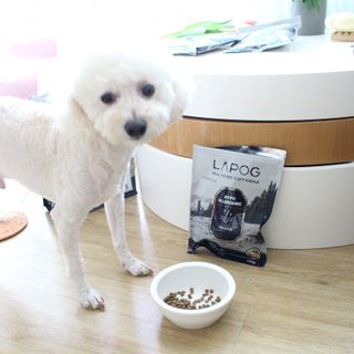 [푸디웜] 라포그 리얼인섹트 소프트키블 스킨 1KG — 5점을 준 리뷰어가 2022년 9월 올린 사용 사진