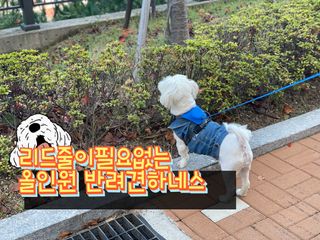 벨라님이 올린 리뷰 사진 1
