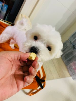 토르헐크님이 올린 리뷰 사진 3