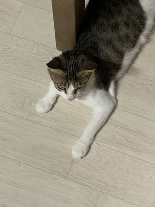 김창희님이 올린 리뷰 사진 3