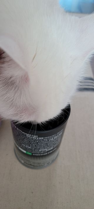 대박이님이 올린 리뷰 사진 3
