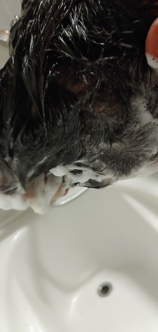 [포레스트스토리] 탈모증상완화 샴푸 1,000ml — 5점을 준 리뷰어가 2022년 6월 올린 사용 사진