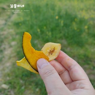 딜라이트 프로젝트 원물칩 2종 6ea(비트 믹스칩, 단호박 믹스칩) — 5점을 준 리뷰어가 2022년 4월 올린 사용 사진