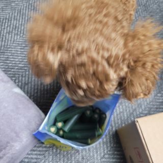 란다김님이 올린 리뷰 사진 3