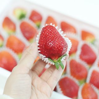 옳음 딸기 논산 설향 딸기 900g 산지직송 — 5점을 준 리뷰어가 2021년 2월 올린 사용 사진