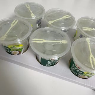 돌 [Dole] 알로코코컵 198g 6입X1박스 — 5점을 준 리뷰어가 2025년 4월 올린 사용 사진