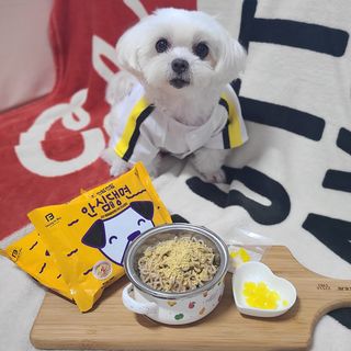 안심댕면 강아지라면 5봉지+쓰담쓰담 종합영양제 2스틱 샘플 증정 — 5점을 준 리뷰어가 2022년 8월 올린 사용 사진