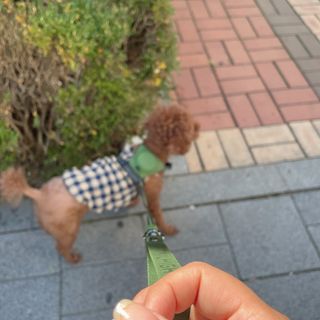 프롬님이 올린 리뷰 사진 2