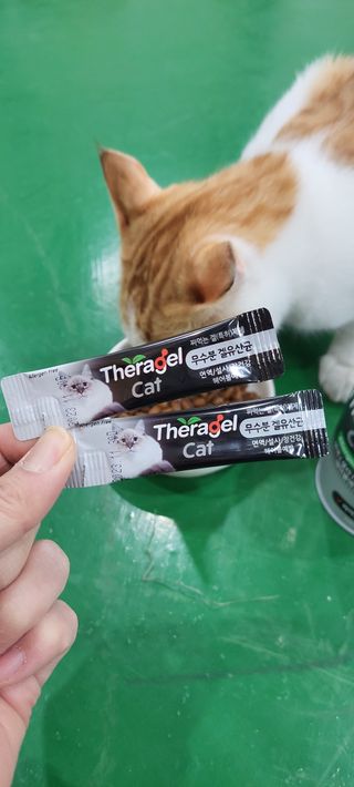 세별이네님이 올린 리뷰 사진 2
