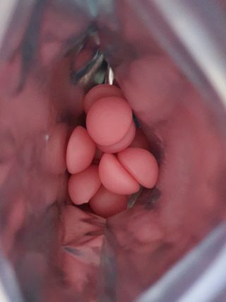 푸름웰니스 라바 쑥쑥구미 36g — 5점을 준 리뷰어가 2022년 4월 올린 사용 사진