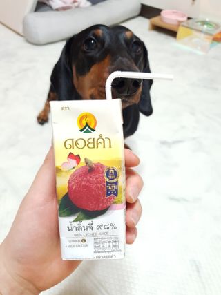 도이캄 착즙 완숙 토마토 200ml 12팩 무설탕 태국왕실 기내식주스 — 5점을 준 리뷰어가 2021년 2월 올린 사용 사진