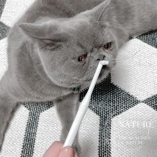 sehee님이 올린 리뷰 사진 4