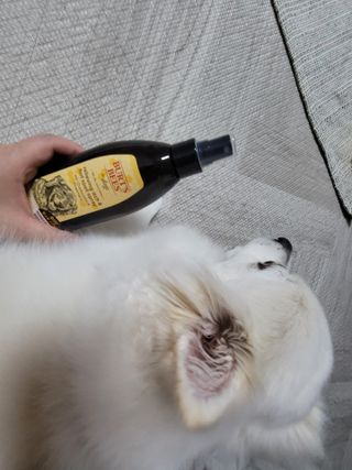 윤윤님이 올린 리뷰 사진 3