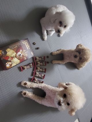 모모맘님이 올린 리뷰 사진 2