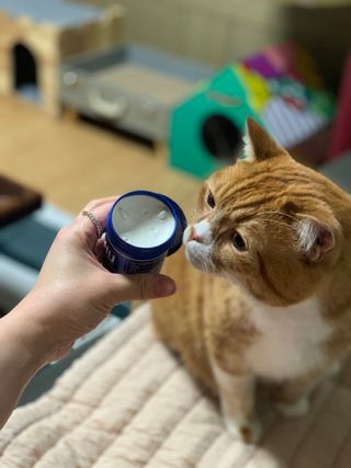 선짱님이 올린 리뷰 사진 2