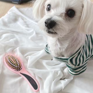 silvermoon님이 올린 리뷰 사진 1