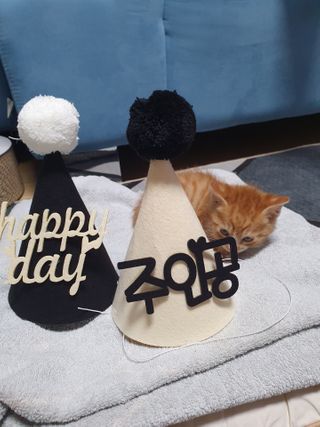 나이스님이 올린 리뷰 사진 2