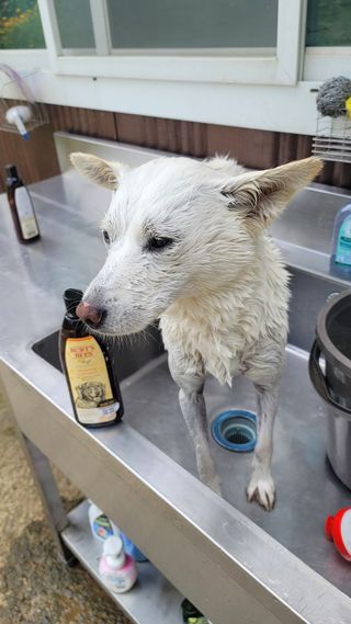 Jenny님이 올린 리뷰 사진 2