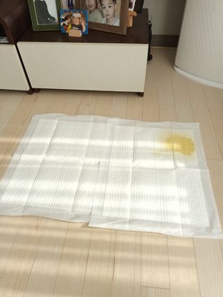 몽이님이 올린 리뷰 사진 4
