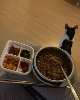 오둥이맘님이 올린 리뷰 사진 1