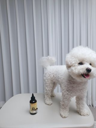 JENNY님이 올린 리뷰 사진 2