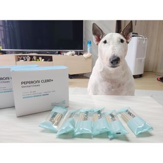페페로니 클린플러스 덴탈치킨껌 10g x 14p — 3점을 준 리뷰어가 2021년 7월 올린 사용 사진