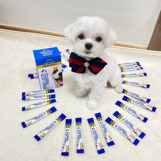 씨디랩 장 건강과 구강 건강을 한 번에 더블락토 강아지 고양이 유산균 — 4점을 준 리뷰어가 2021년 1월 올린 사용 사진
