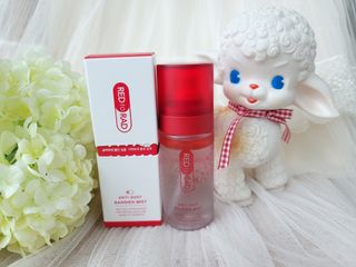 레드투래드 안티더스트 배리어 미스트 55ml — 5점을 준 리뷰어가 2021년 10월 올린 사용 사진