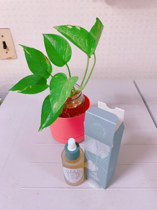 베지톨로지 비니페린 브라이트닝 앰플 — 5점을 준 리뷰어가 2022년 8월 올린 사용 사진