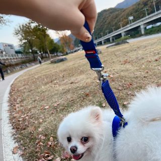 오랑이님이 올린 리뷰 사진 3
