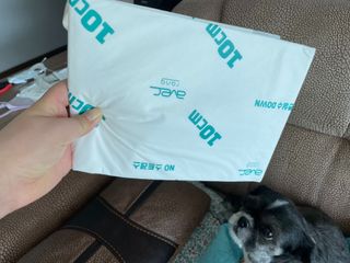 아베크 펫 와이드 프리미엄 대형 애견 강아지 배변 패드 30매 1팩 80g — 5점을 준 리뷰어가 2021년 7월 올린 사용 사진