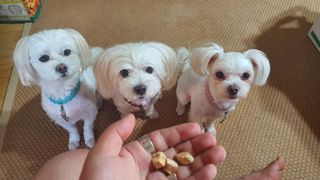 공팔리터님이 올린 리뷰 사진 3