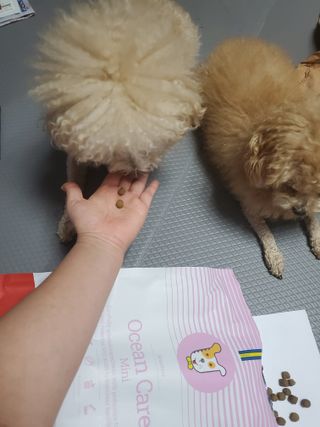 모모맘님이 올린 리뷰 사진 2