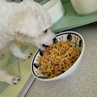 미르별님이 올린 리뷰 사진 4
