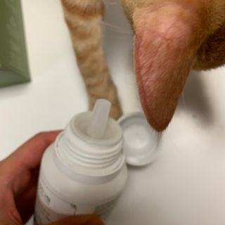 오잉님이 올린 리뷰 사진 3
