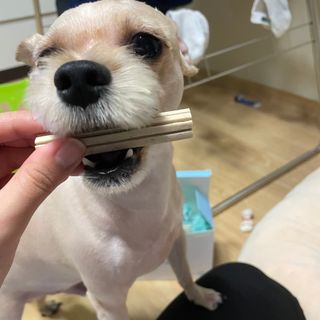세지니힛님이 올린 리뷰 사진 4
