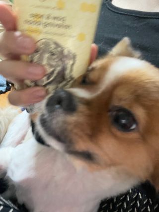 묨묨님이 올린 리뷰 사진 2