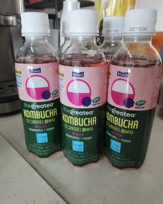 더그레잇티 콤부차 [매일유업] 더그레잇티 44kcal 콤부차 300ml *12개입 (오리지널 6개+베리리치 6개) — 5점을 준 리뷰어가 2023년 8월 올린 사용 사진