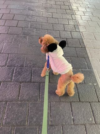 harumom님이 올린 리뷰 사진 2