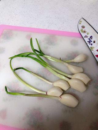 설레나님이 올린 리뷰 사진 4