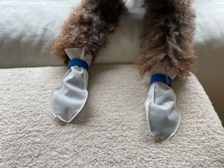 콩지님이 올린 리뷰 사진 3