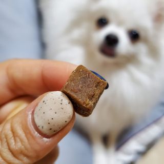 My Pet Care 천연단백질 관절건강에 개좋아 — 5점을 준 리뷰어가 2021년 2월 올린 사용 사진