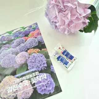 바람꽃님이 올린 리뷰 사진 4