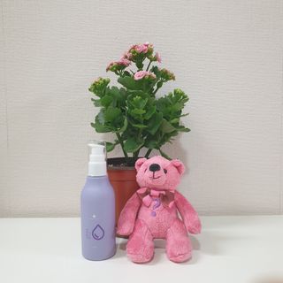 바이올라님이 올린 리뷰 사진 2