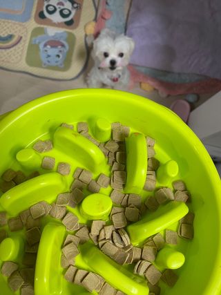 janoo11님이 올린 리뷰 사진 3