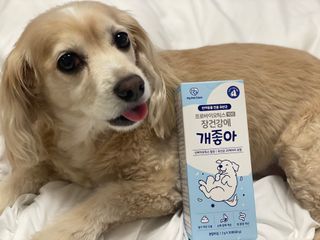 윰쓰님이 올린 리뷰 사진 1