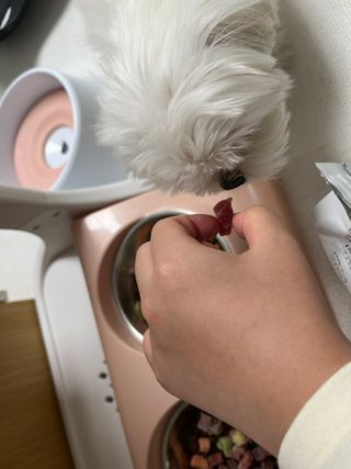 린짱님이 올린 리뷰 사진 3