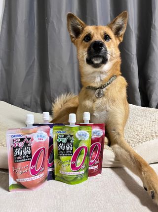 ORIHIRO 오리히로 곤약젤리 제로칼로리 130g 4종 4팩(맛별로 1팩씩) — 5점을 준 리뷰어가 2023년 3월 올린 사용 사진