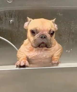 진시님이 올린 리뷰 사진 3