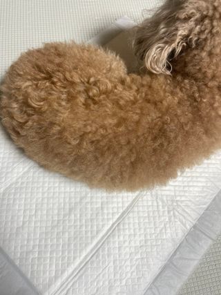 BakVeronica님이 올린 리뷰 사진 3